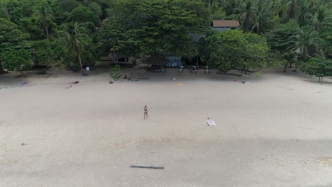 aerial view of a tropical beach with palm trees, sand, and people