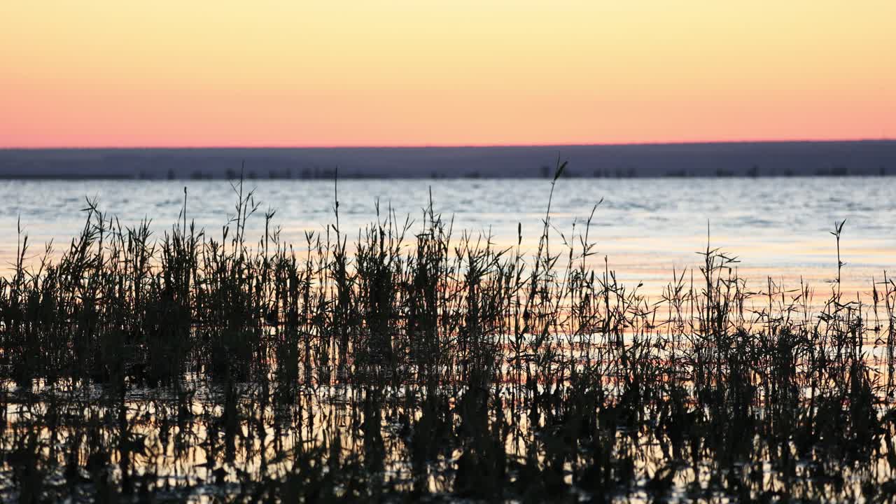naturaleza tranquila con lago tranquilo y siluetas durante el amanecer
