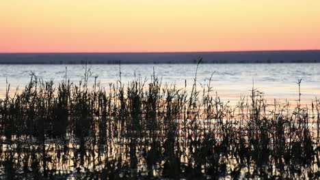 tranquil nature with calm lake and silhouettes during sunrise