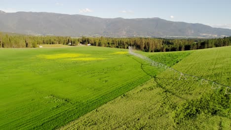 irrigation of green crops 4k