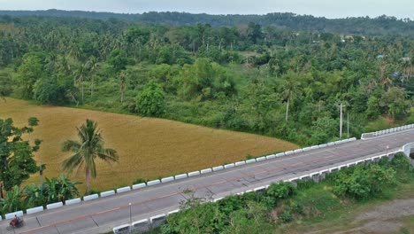 Pan-shot-of-traffic-on-the-Philippines-national-road-with-palm-trees,-cars-and-bridge-in-Luzon-provine-at-Abulug