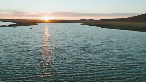 A-team-of-ducks-take-off-from-the-Rio-Grande,-Argentina