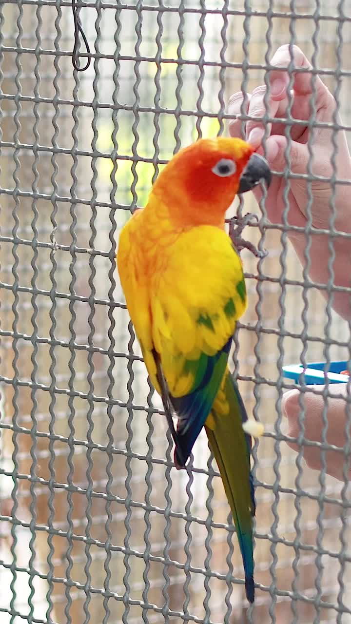 태양 코너가 사람과 상호 작용합니다.