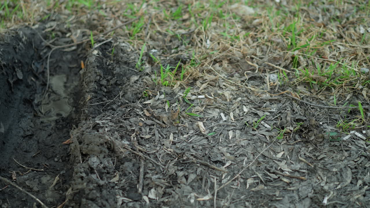 Camera moving away from a shallow trench filled with rainwater on a muddy, leaf-covered ground, with wet soil, decaying leaves, and small patches of green grass