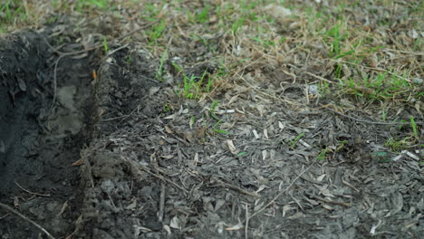 cámara alejándose de una zanja poco profunda llena de agua de lluvia en un suelo fangoso y cubierto de hojas, con suelo húmedo, hojas en descomposición y pequeños parches de hierba verde
