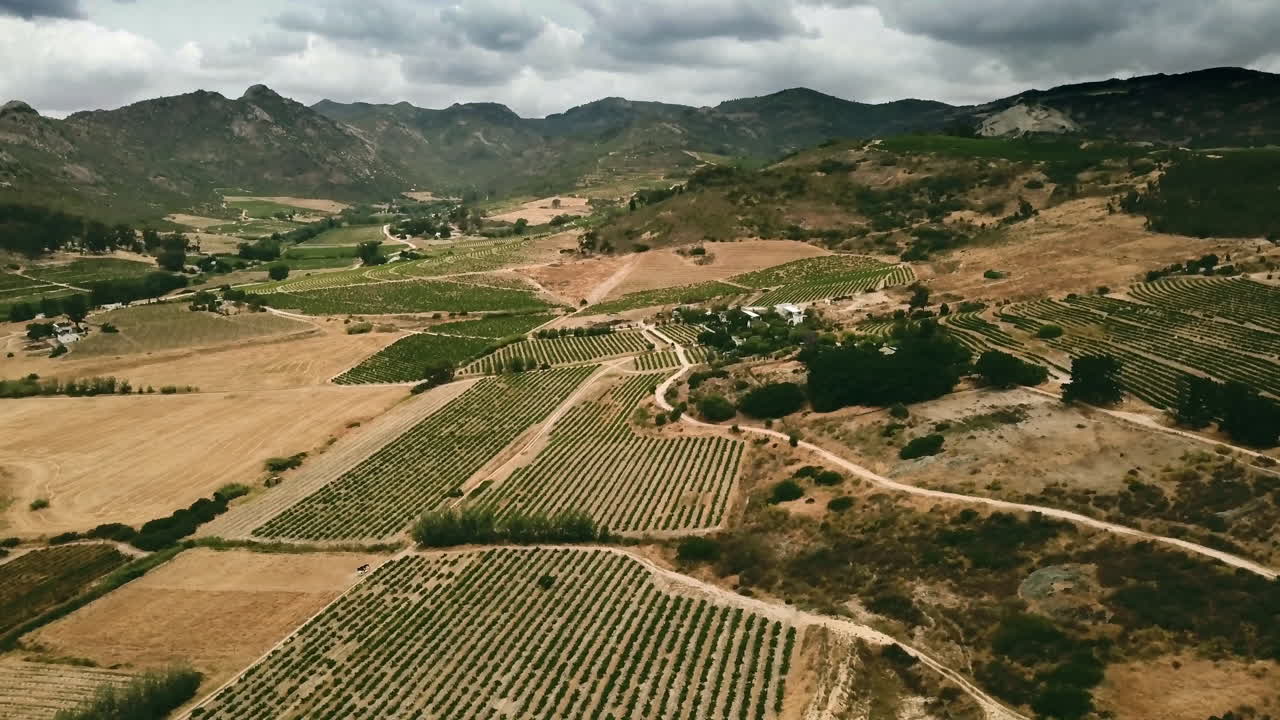 Diversità naturale della campagna sudafricana in poderi collinari e agricoltura vinicola rurale