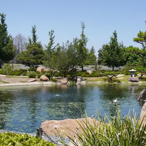 Japanese-Garden-pond,-Los-Angeles