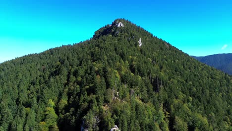 Vuelo-Aéreo-Sobre-Un-Bosque-Verde-En-La-Ladera-De-Una-Montaña,-4k