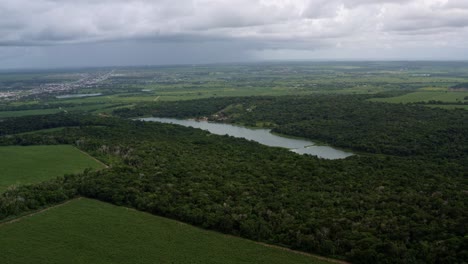 right trucking aerial drone shot of a large river surrounded by a large tropical exotic jungle forest next to large fields of sugar cane in tibau do sul, rio grande do norte, brazil on an overcast day