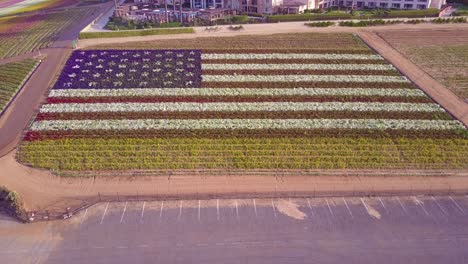 Una-Toma-Aérea-Sobre-Una-Bandera-Estadounidense-Gigante-Hecha-De-Flores-2