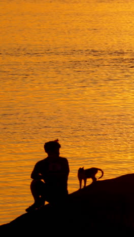 silhouette of mountain biker at sunset. male mountain biker resting on bike ride with cats vertical video