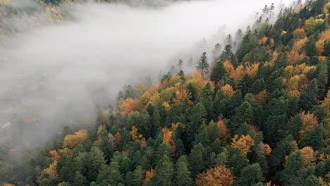 aerial view over vibrant automnal mountain forest valley with a sea of clouds, 4k