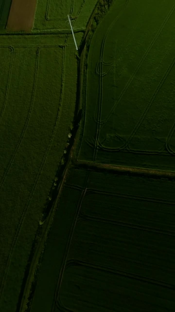 Sweeping FPV along barley fields with rising sunlight and long soft field shadows, panoramic aerial vertical overview into steep dive