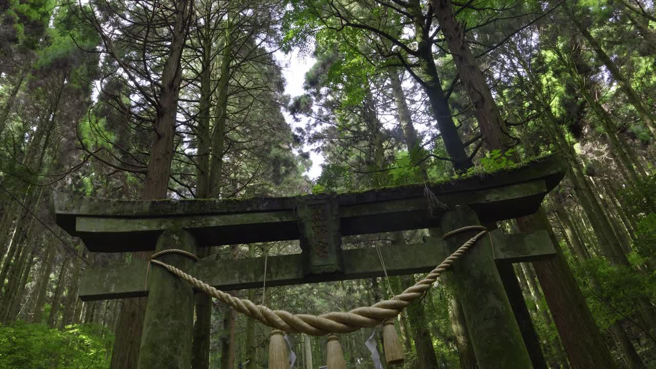 Perfect cinematic rotating shot over Stone Torii gate in lush forest