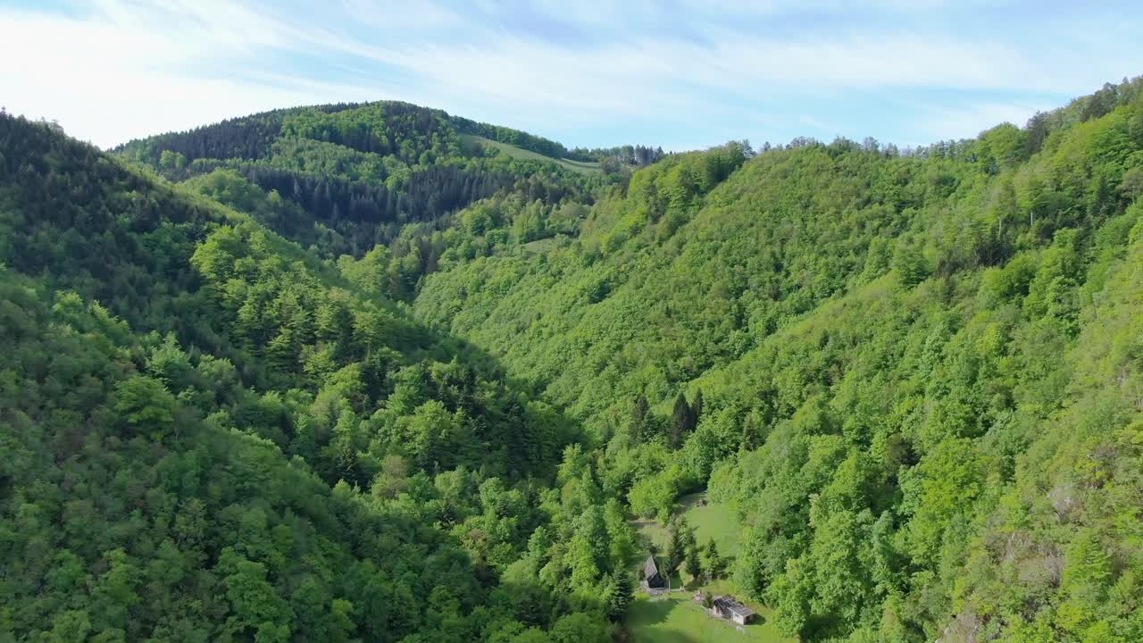 forest of green luxuriant foliage, untouched Alpine nature, Kocevje. Aerial