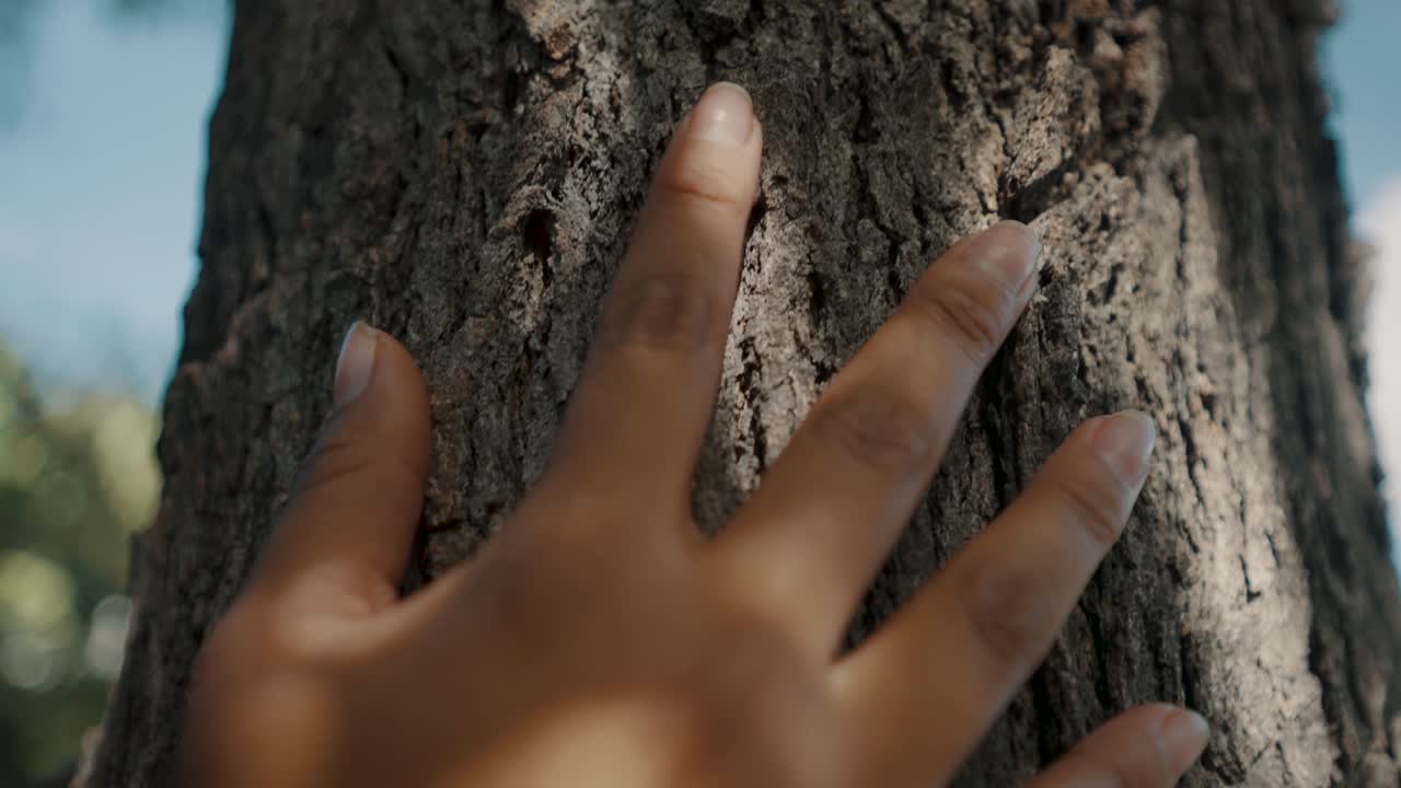 Hand Of A indigenous Woman Touching A Tree Trunk - Macro, tilt-down shot