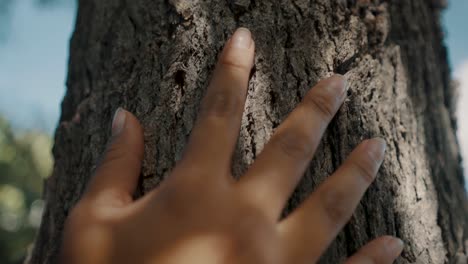 Mano-De-Una-Mujer-Indígena-Tocando-El-Tronco-De-Un-árbol---Macro,-Tiro-Inclinado-Hacia-Abajo