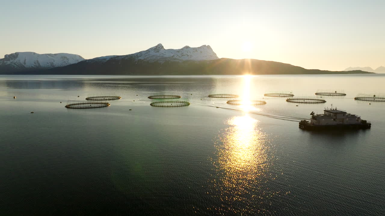 Midnight sun aerial view over round marine pens of Gratangen salmon farm