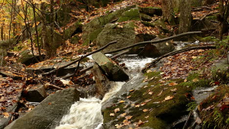 Flowing-cold-and-clear-water-between-stones-in-the-middle-of-an-abandoned-deciduous-forest-in-a-moody-autumn