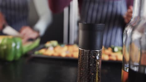 Midsection-of-biracial-lesbian-couple-chopping-and-seasoning-vegetables-in-kitchen,-in-slow-motion