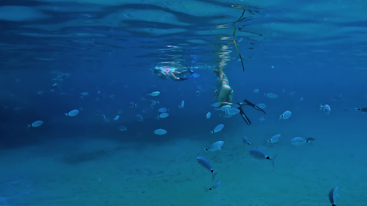 깊고 푸른 바다에서 수중 스노클링을 하는 소녀들 근처에서 물고기 떼가 헤엄친다