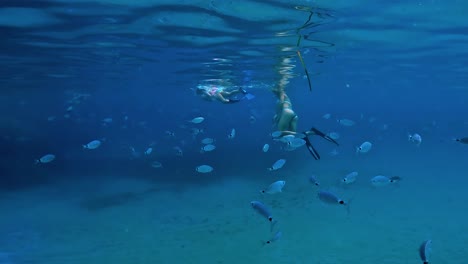 school of fish swims close to girls snorkeling underwater in deep blue sea