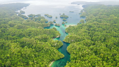 tropical islands and lush jungle - aerial view