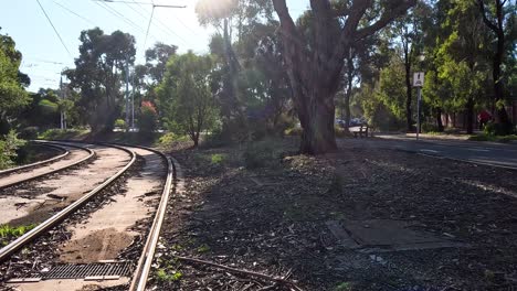 vías de tranvía en el parque urbano