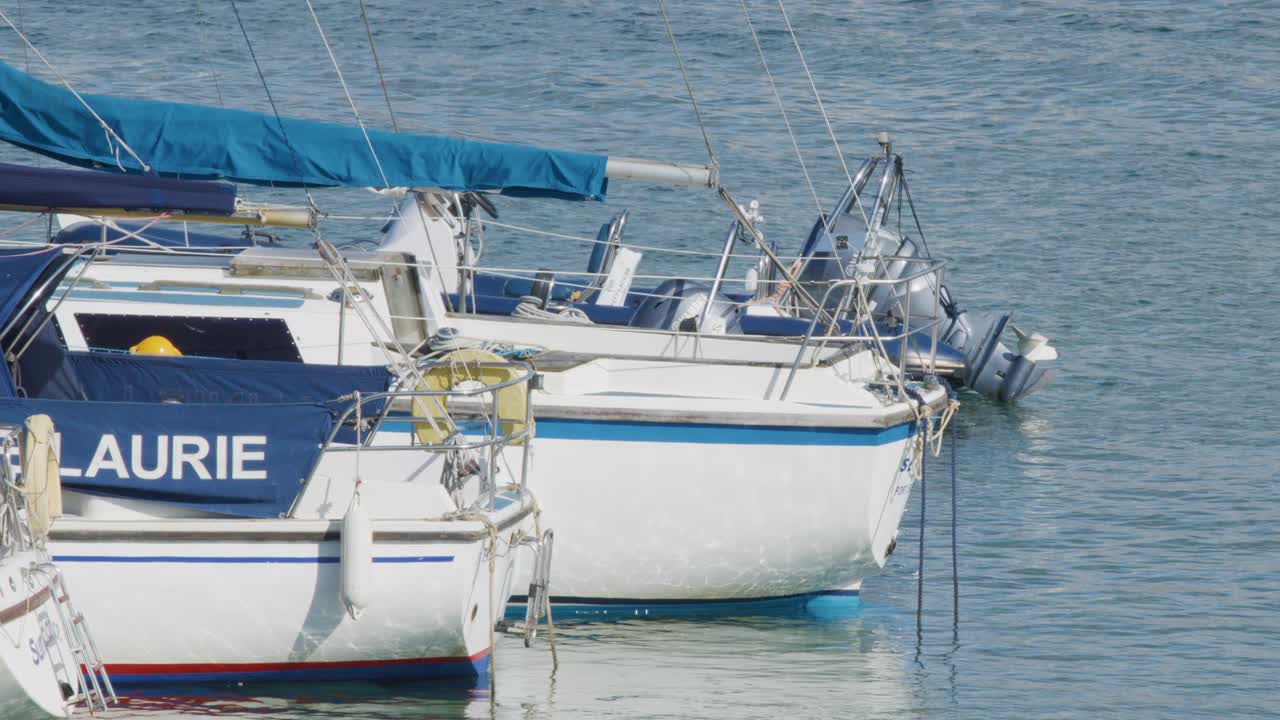 Multiple sailboats with blue covers are docked closely together in a tranquil marina, captured in steady daylight with minimal camera movement and soft natural lighting