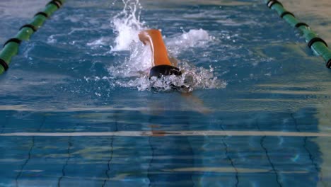 fit female swimmer doing the front stroke in swimming pool