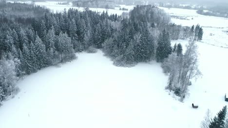 aerial view of snowy field and cabins near coniferous forest in winter