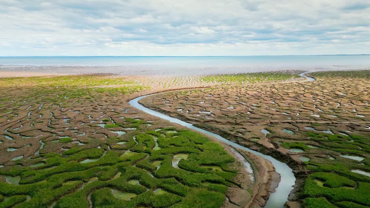 Cracked mud flats in a salt marsh