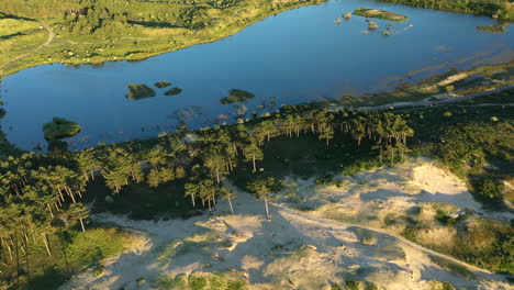 aerial of vogelmeer in national park kennemerland in the netherlands