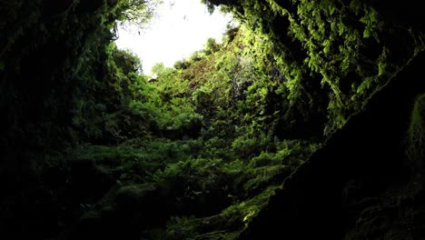 looking up into lava tube of algar do carvão in terceira island, acores, portugal