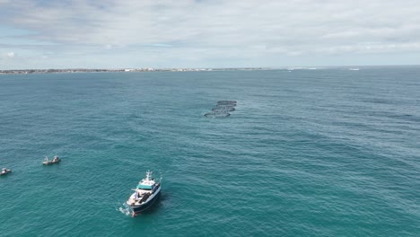 a mid sized marine vessel tows four fish farms along the west australian coast.