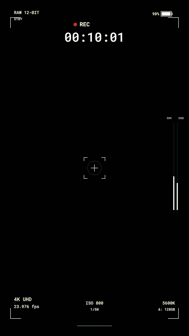 Digital Camera Recording Interface Overlay