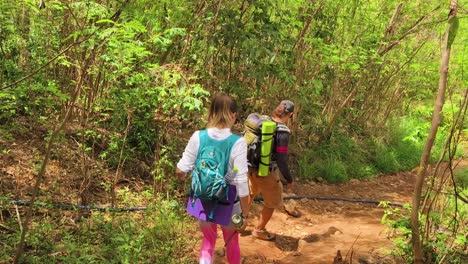 hikers on a trail through the forest