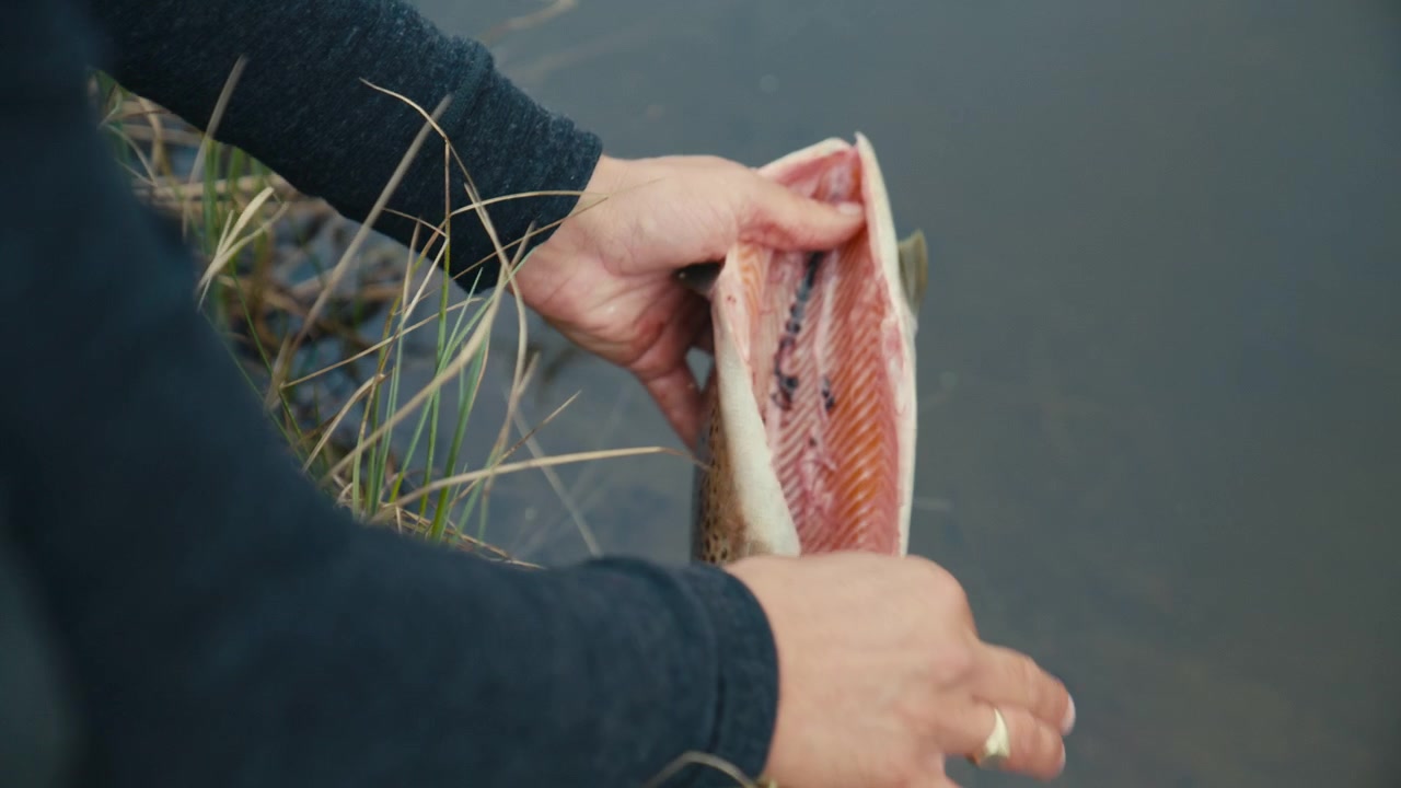 The camera shifts focus from a freshly cleaned brown trout in the foreground to the angler’s face above, emphasizing concentration, manual work, and the quiet intensity of outdoor fish preparation.