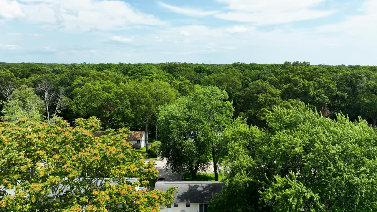 Lush green blooms on the treetops over Muskegon.