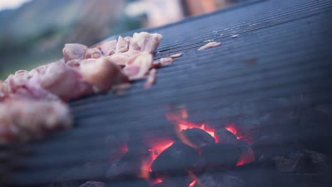 bar-b-q with meat and red pepper on a grill with coal and fire