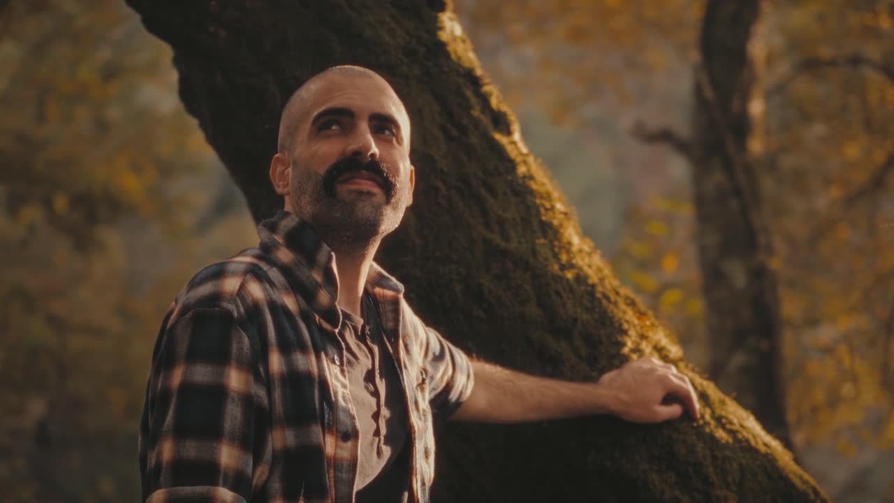 Man touches mossy tree in golden forest in Portugal. He admires greenery and light. He feels awe and wonder. Relaxing and peaceful clip