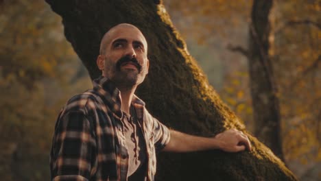 man touches mossy tree in golden forest in portugal. he admires greenery and light. he feels awe and wonder. relaxing and peaceful clip
