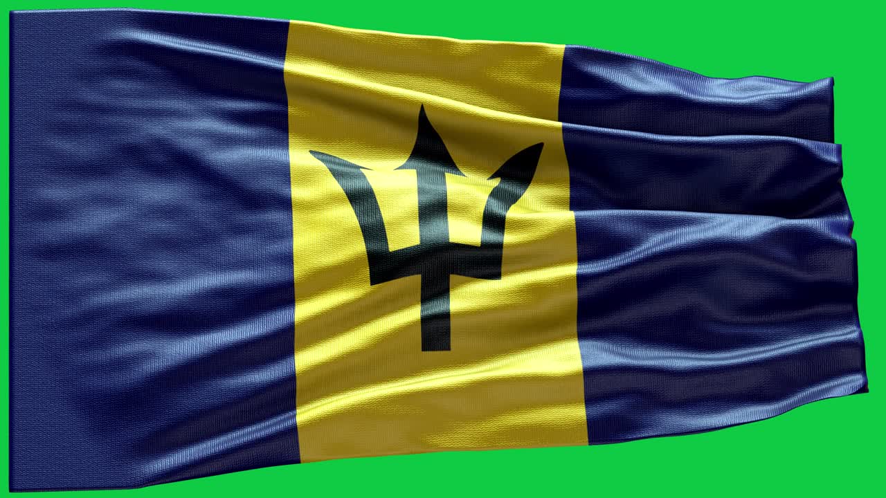 4k bandera de barbados muy detallada - bandera de barbados de alto detalle - bandera nacional de barbados patrón de ondas elementos en bucle