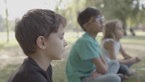 retrato lateral de un lindo niño caucásico sentado con amigos en el césped del parque