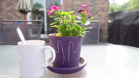 Purple-pot-with-flower-near-a-white-mug