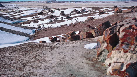 Gimbal-shot-of-Petrified-forest