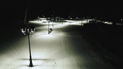 el parque místico solitario en invierno