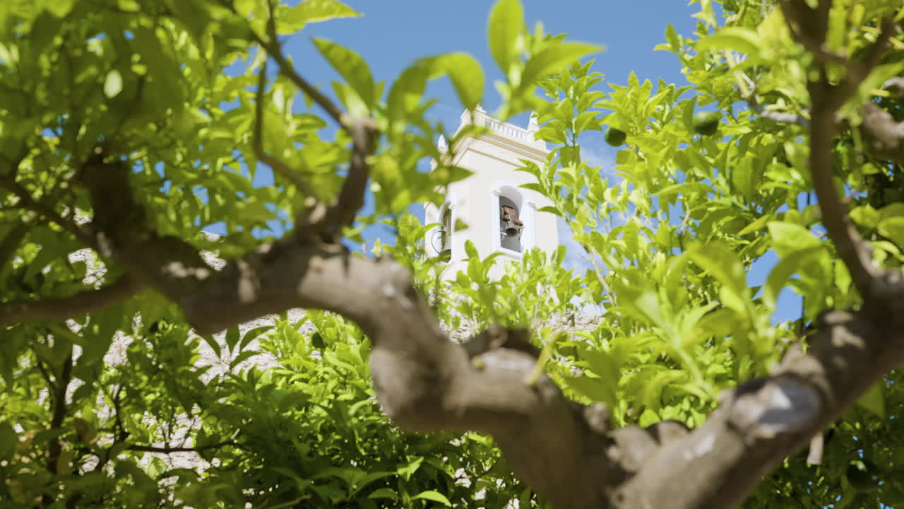 Bell Tower in a Sunny Orange Grove