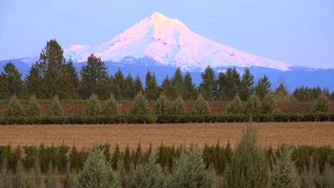 Sunset-light-illuminates-Mt-Hood-Oregon-1