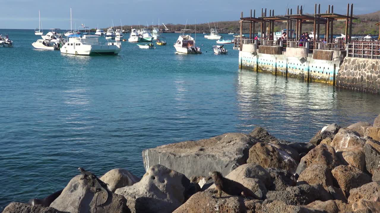 снимок гавани пуэрто-бакеризо-морено столицы галапагосских островов эквадора